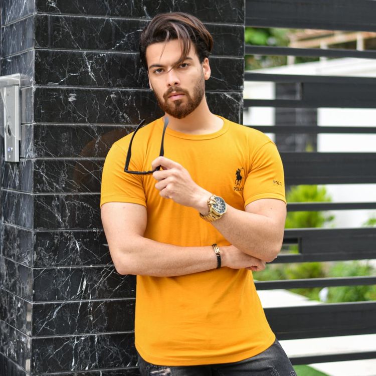 تیشرت مردانه POLO کد 14364