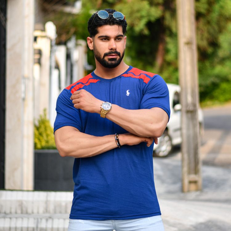 تیشرت مردانه POLO کد 14608