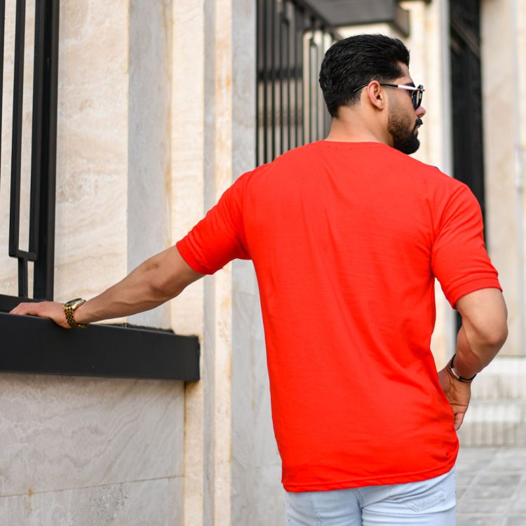 تیشرت مردانه POLO کد 14608