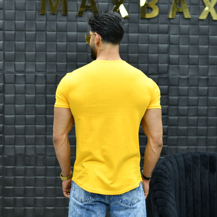 تیشرت مردانه کد 15636