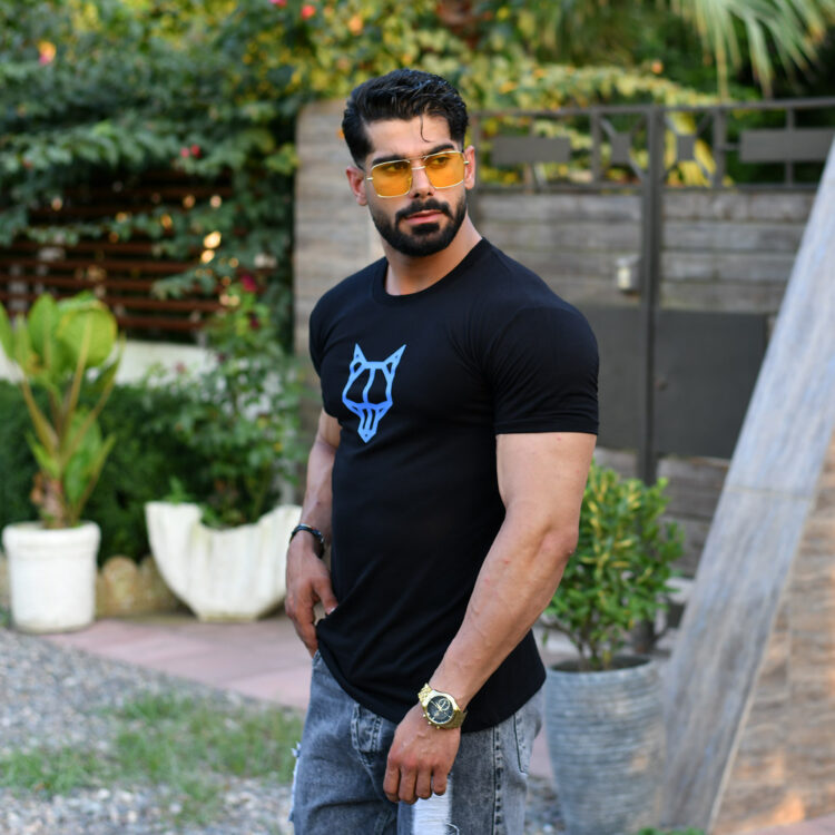 تیشرت مردانه NAKED WOLFE کد 15863