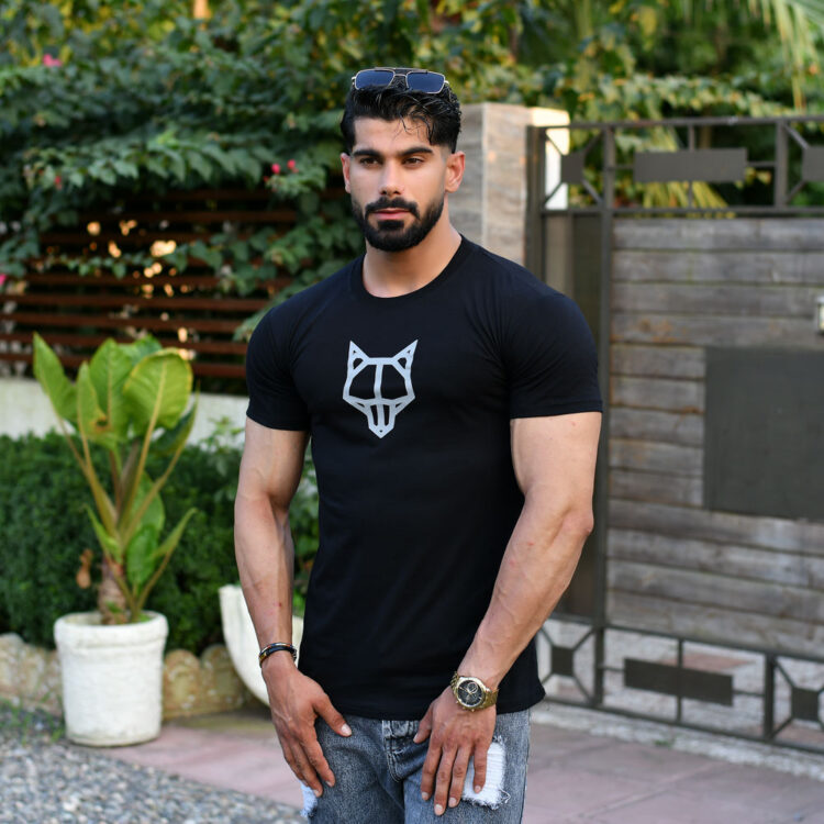 تیشرت مردانه NAKED WOLFE کد 15863