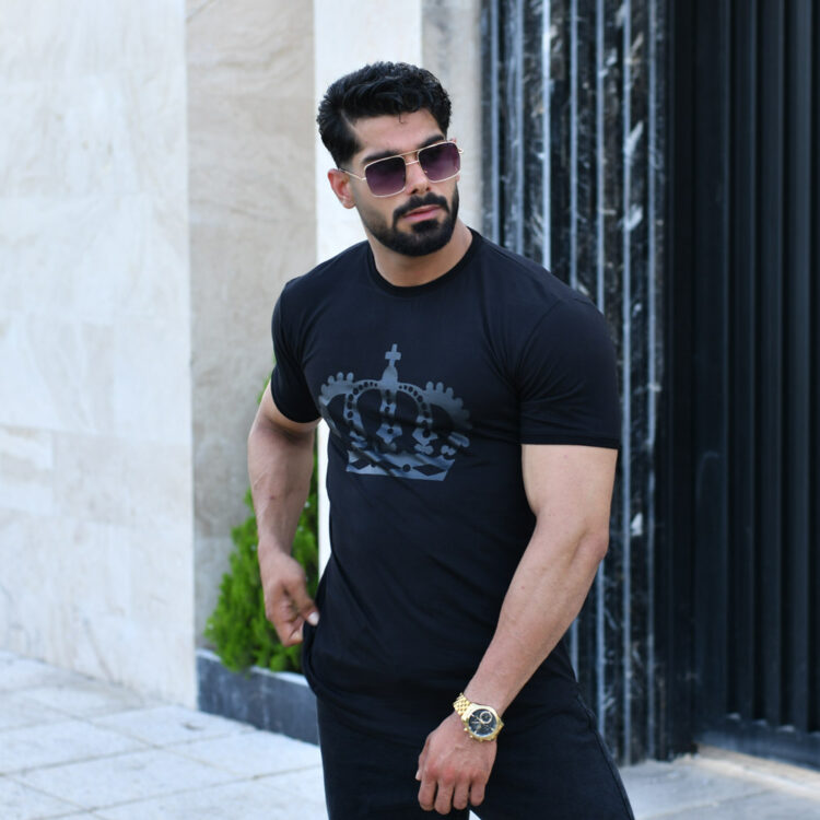 تیشرت مردانه KING کد 16029