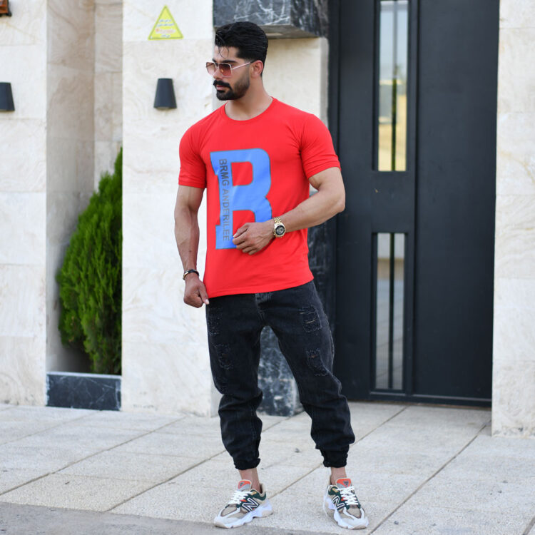 تیشرت مردانه B کد 16648