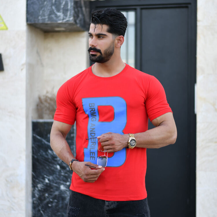 تیشرت مردانه B کد 16648