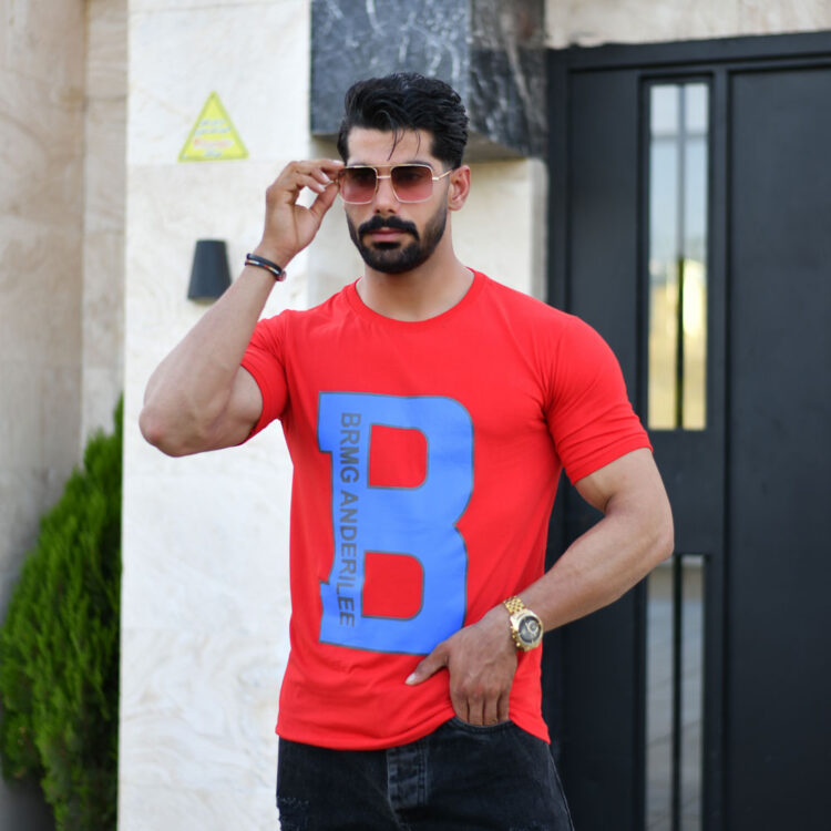 تیشرت مردانه B کد 16648