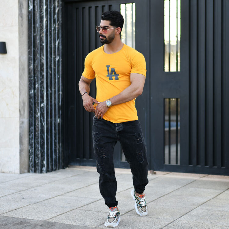 تیشرت مردانه LA کد 16645