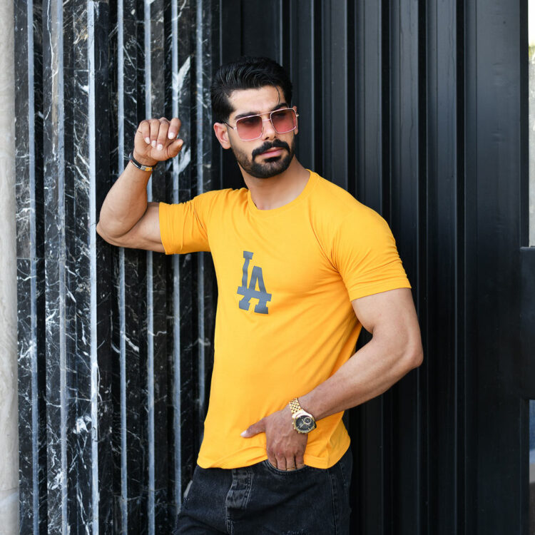 تیشرت مردانه LA کد 16645
