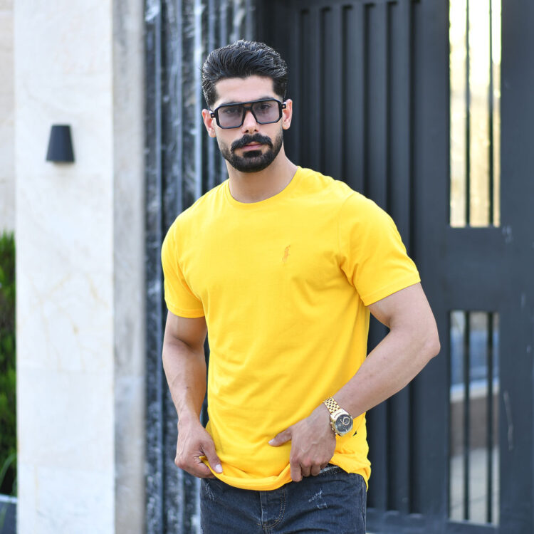 تیشرت مردانه POLO کد 16996