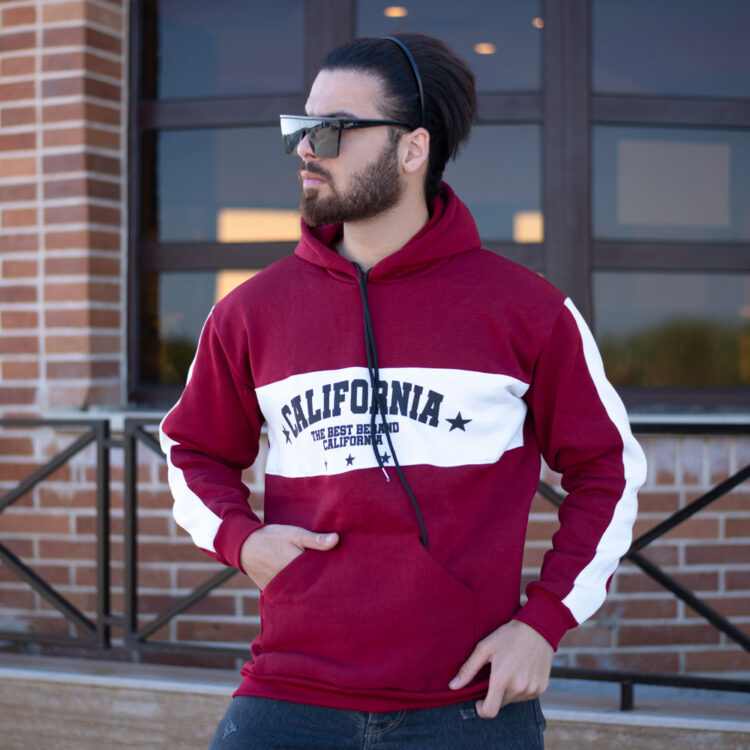 هودی مردانه کد 18221