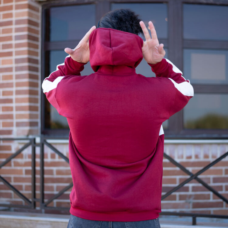 هودی مردانه کد 18221