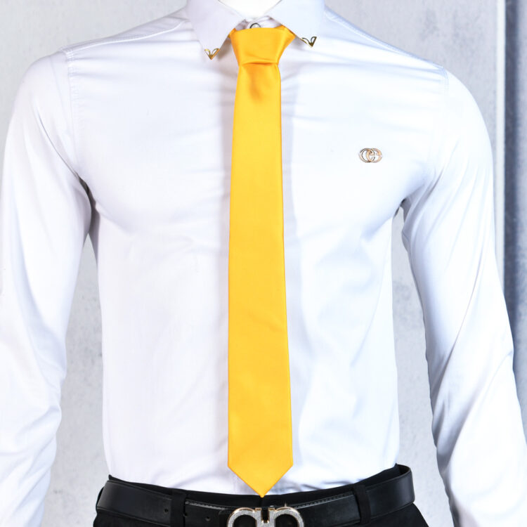 کراوات مردانه کد 22728