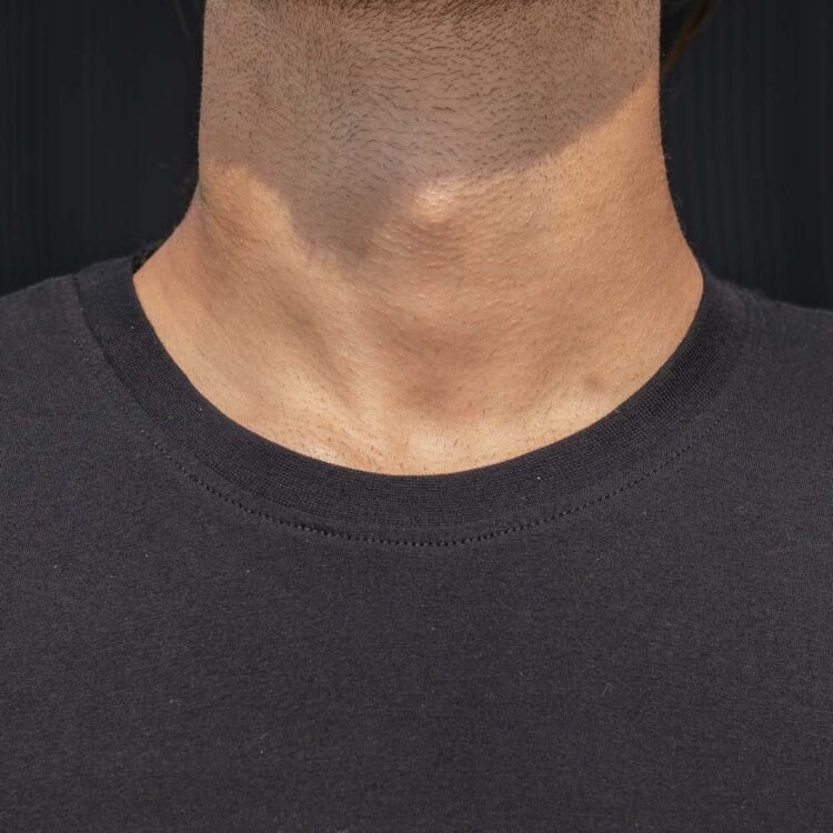 تیشرت مردانه کد 23036