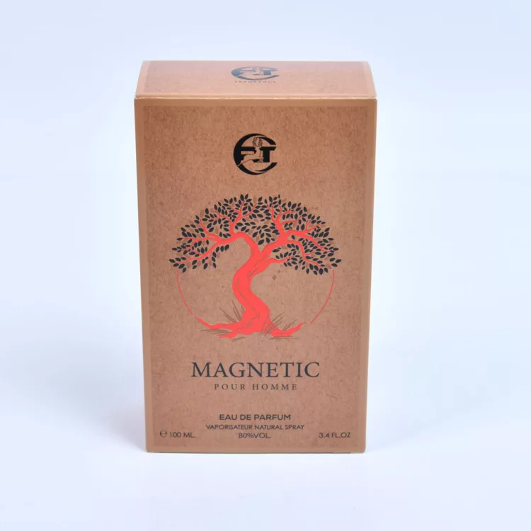 ادو پرفیوم مردانه آرتی مدل MAGNETIC (مشابه رایحه مگاماره)