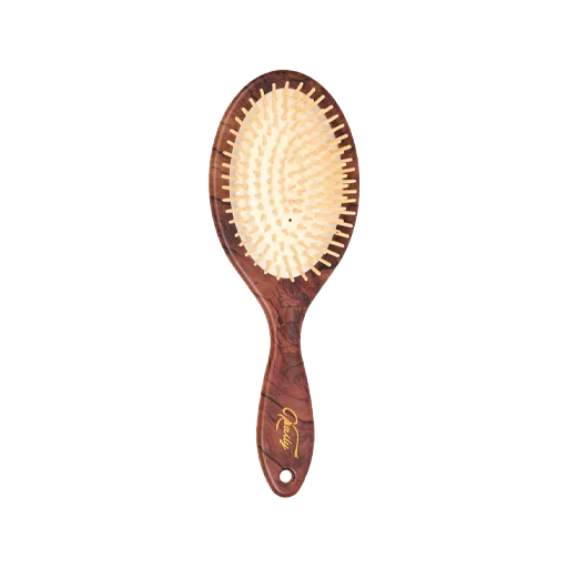 برس و شانه مو